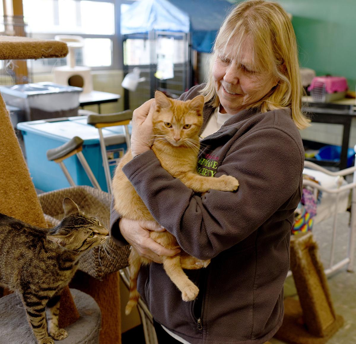 Effingham County Humane Society Provides Essential Pet Care
