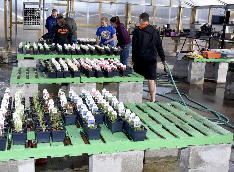 School, community breathe new life into greenhouse Local News