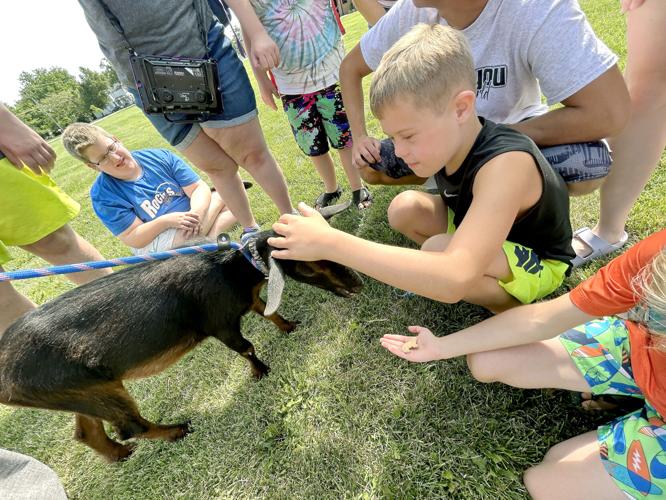 Teutopolis Knights of Columbus Council earns state award Local News