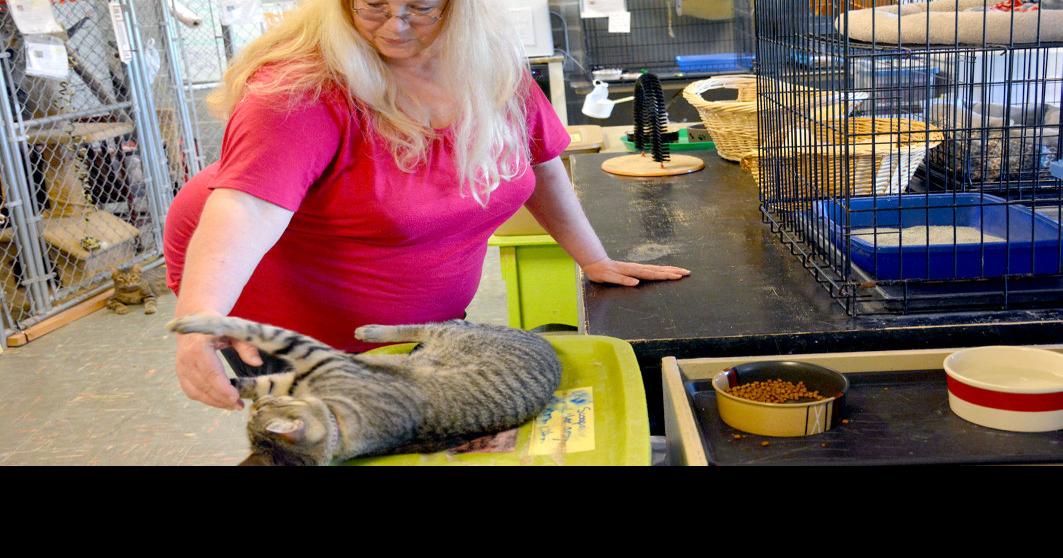 Overcrowding plagues Humane Society Local News