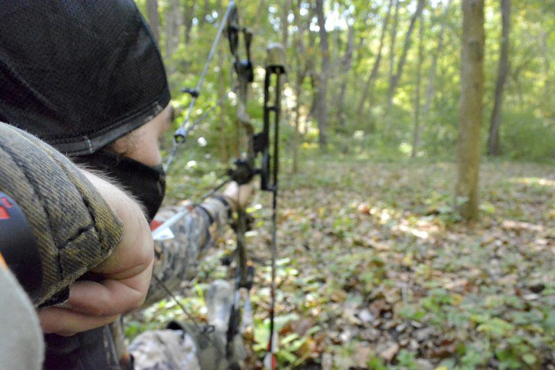 dating ariane online version