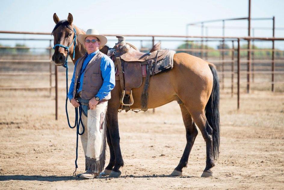 Inmatetrained horses to go up for auction Lifestyle