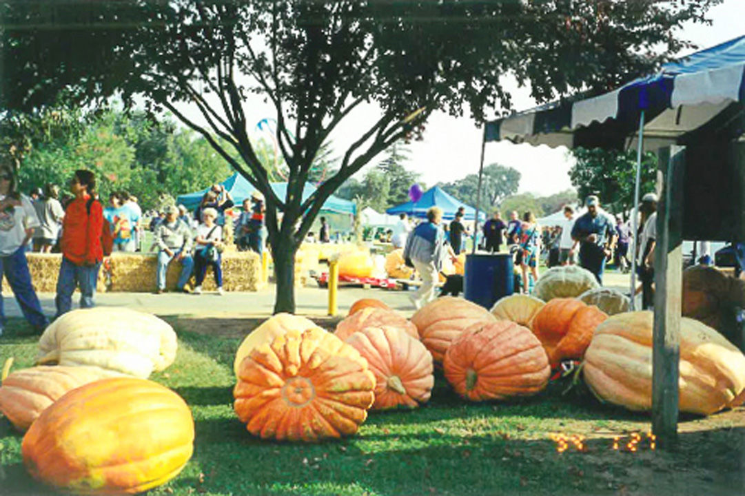 EG Giant Pumpkin Festival to celebrate silver anniversary News