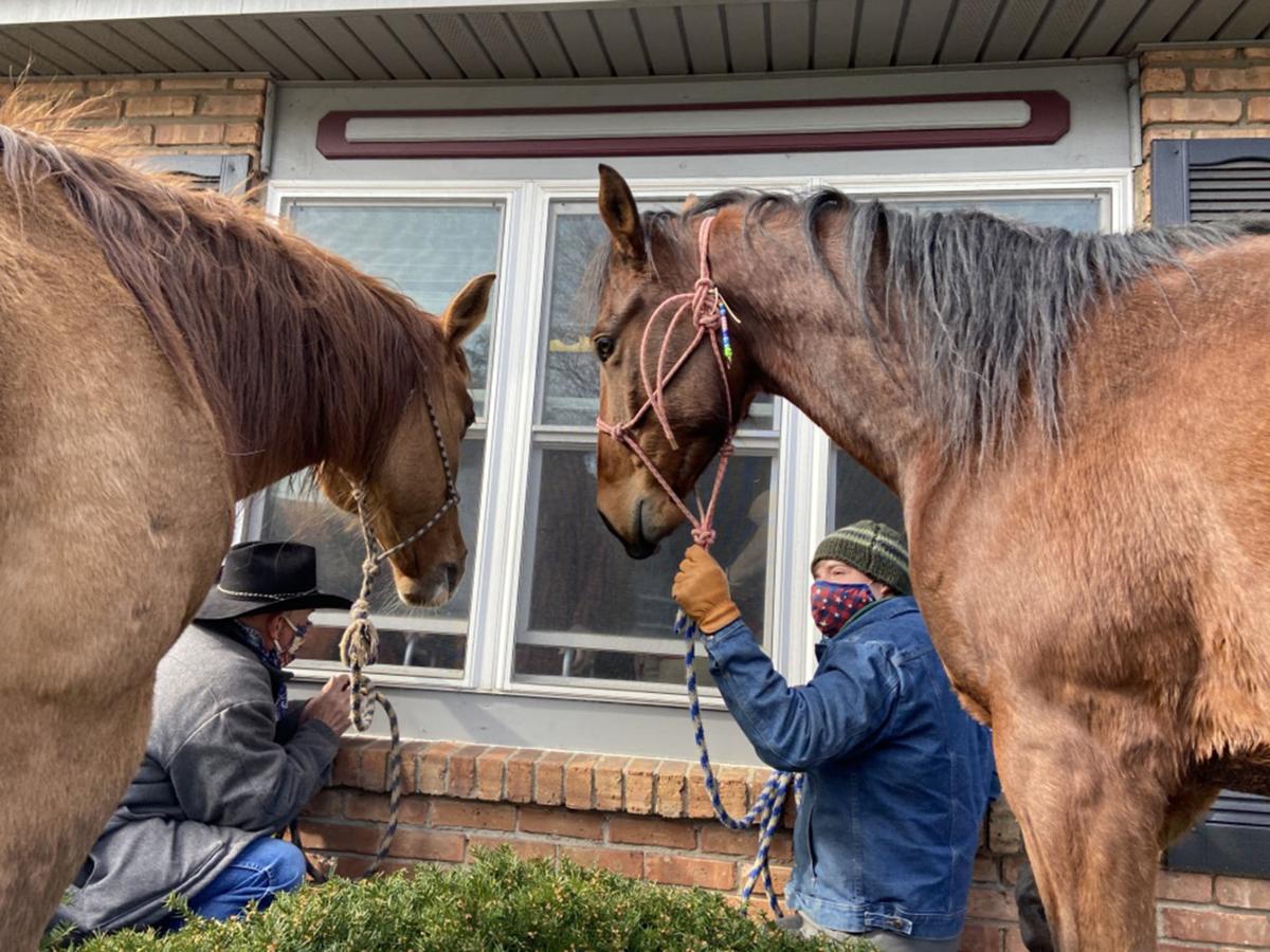 Horses Visit Nursing Home Windows Hometown Elkharttruth Com