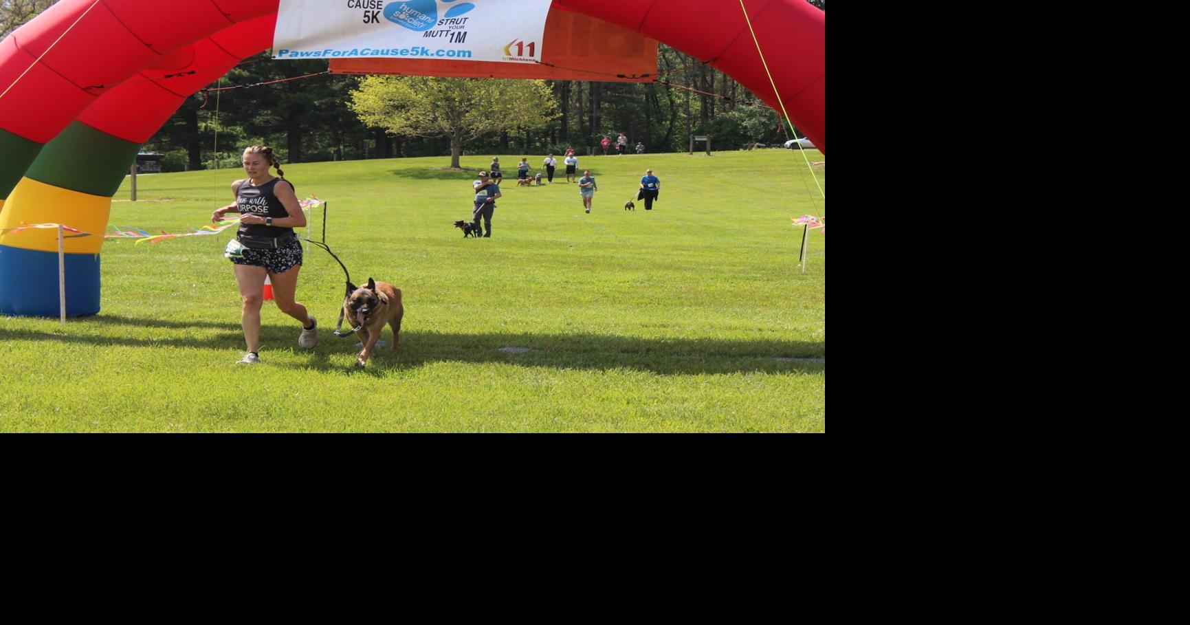 A day for the dogs-runner1