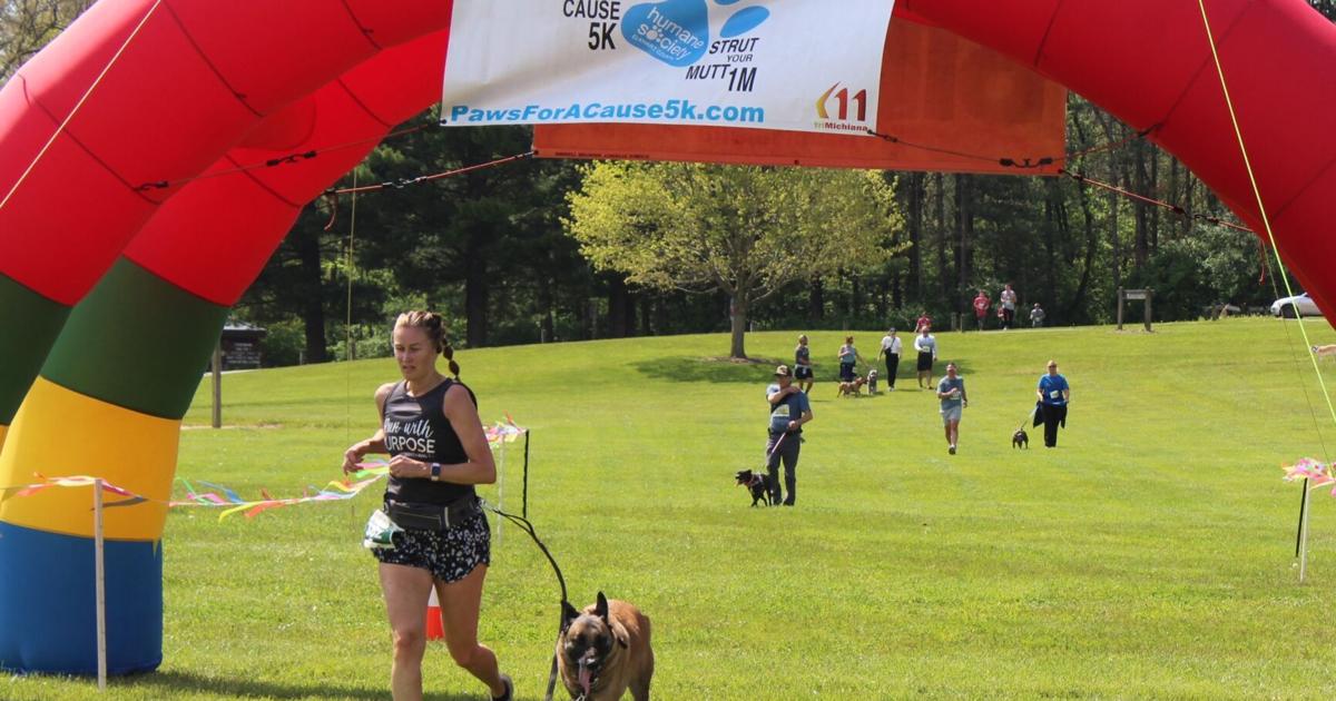 A day for the dogs-runner1