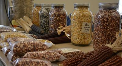 Sixth annual Seed Swap set | Features | elkharttruth.com