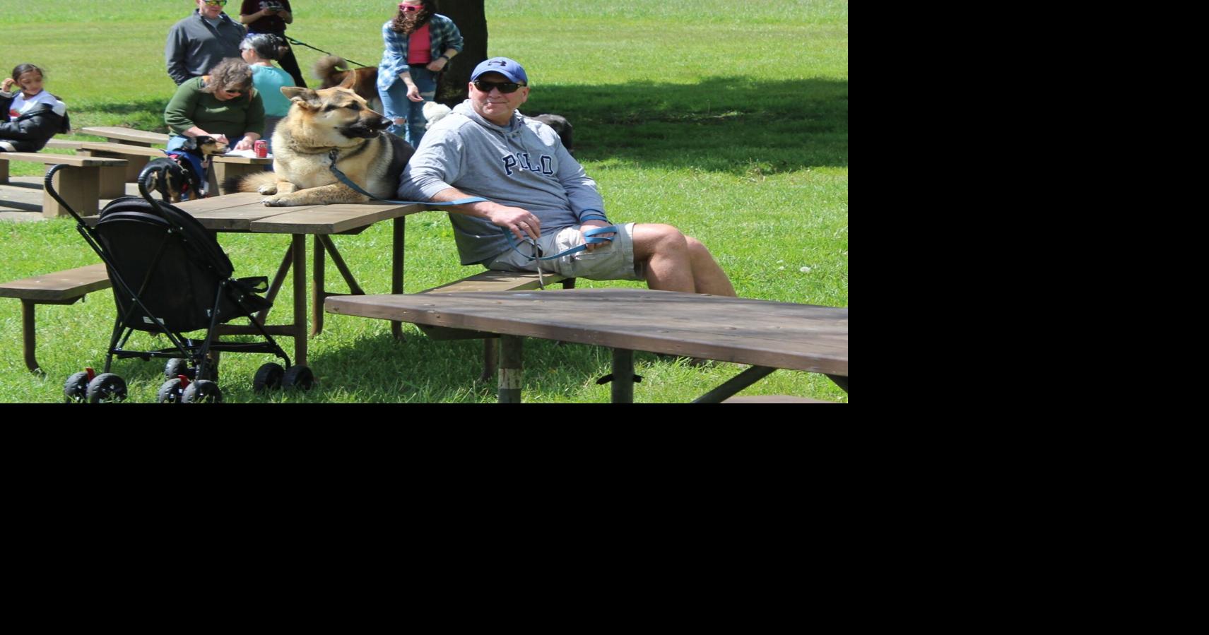 A day for dogs-picnic table7