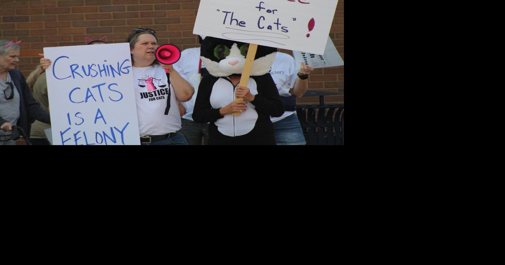 Protesters call for 'justice for cats' outside prosecutor's office ...