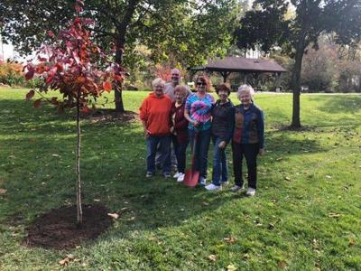Middlebury Garden Club partners with Parks Department