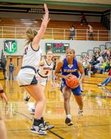 Stout, Garber lead Truth All-Area team