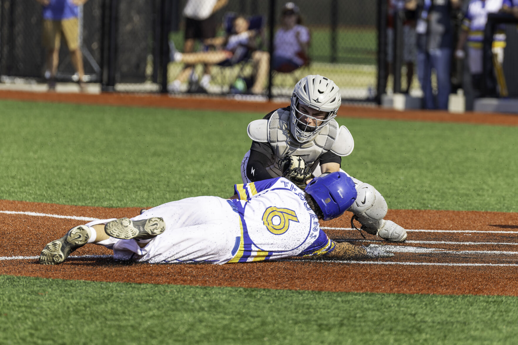 Panthers earn another regional title | Sports | elkharttruth.com