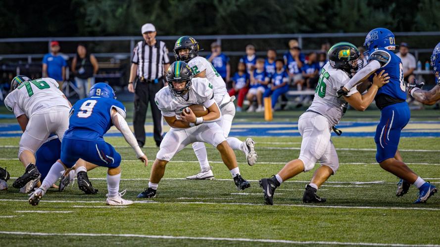 Johnson's three interceptions key Lions win Sports