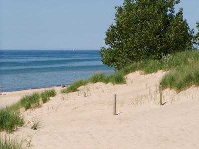 Indiana Dunes' Mount Baldy keeps slowly blowing inland
