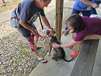Humane Society to host free vaccination and microchip event