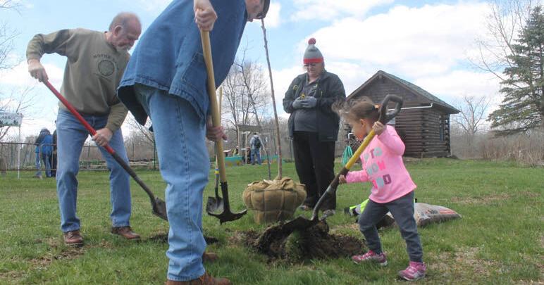 Free trees offered in Earth Day celebration - Vimarsana News