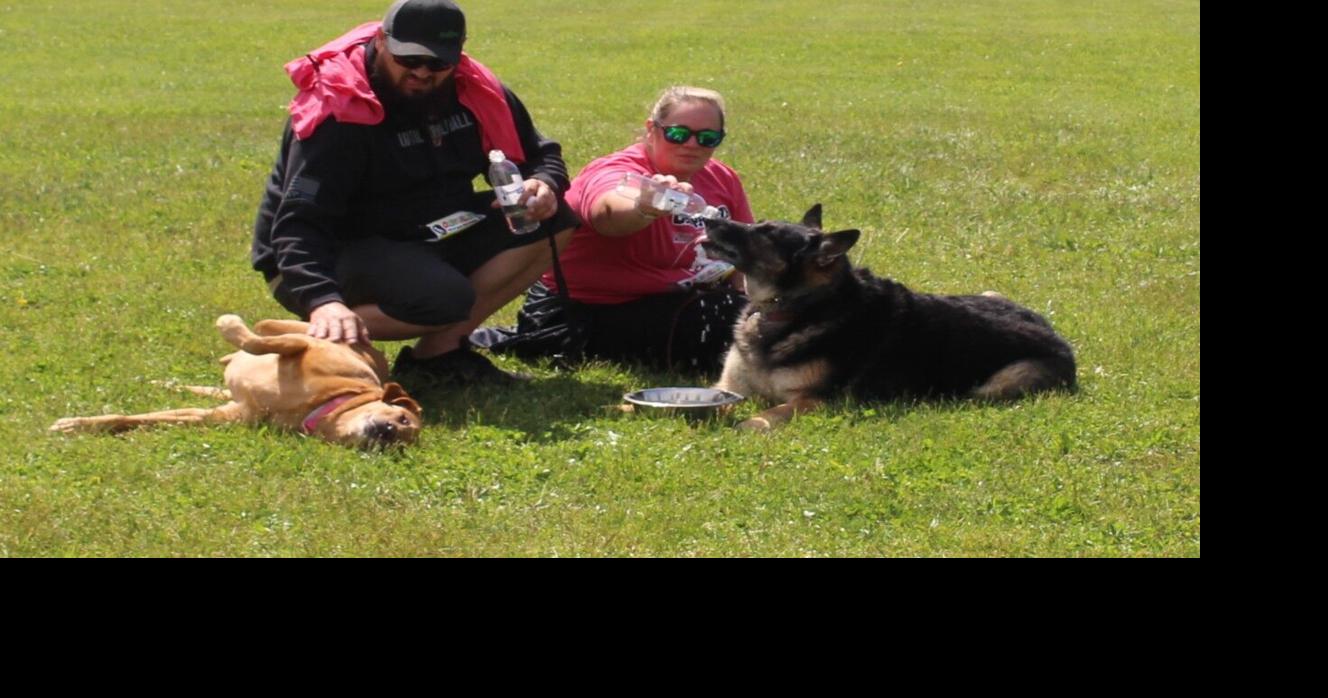 Photo essay: A day for the dogs