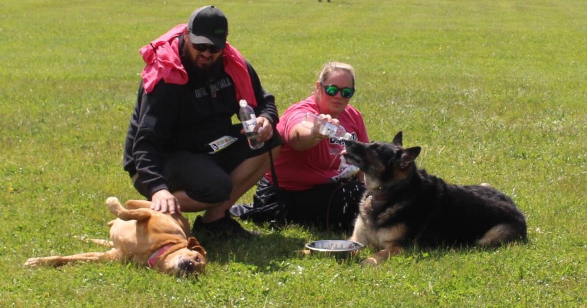 Photo essay: A day for the dogs