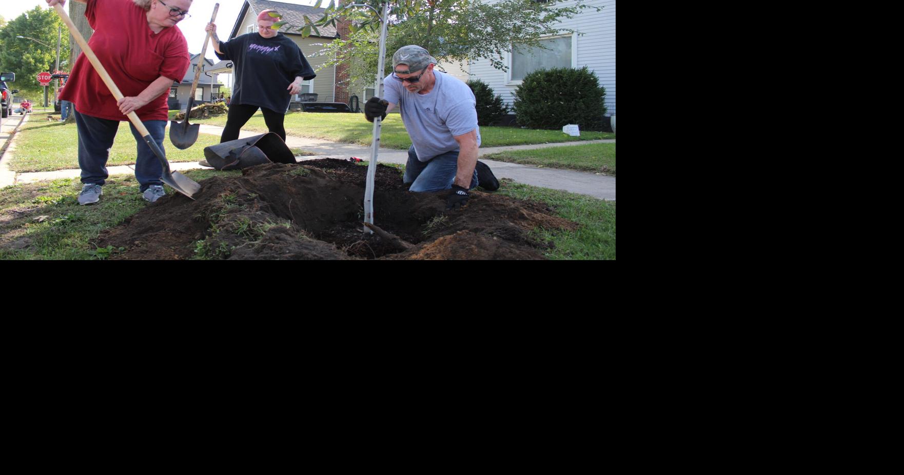 Tree planting initiative provides way to give back | Elkhart ...
