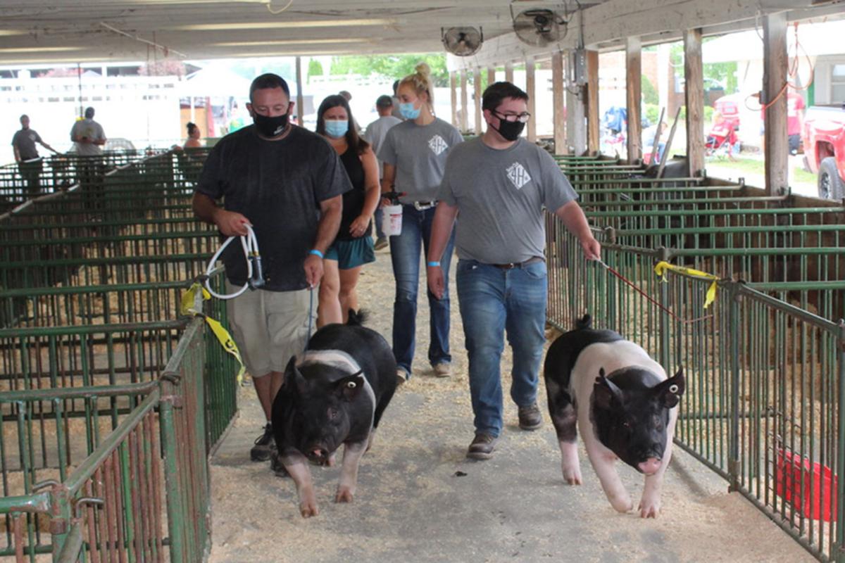 4-H'ers show off their animals | Hometown 