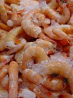 A New Paris family is starting a fresh shrimp business