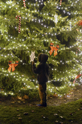 Middlebury Tree Lighting Kicks Off Holidays Features