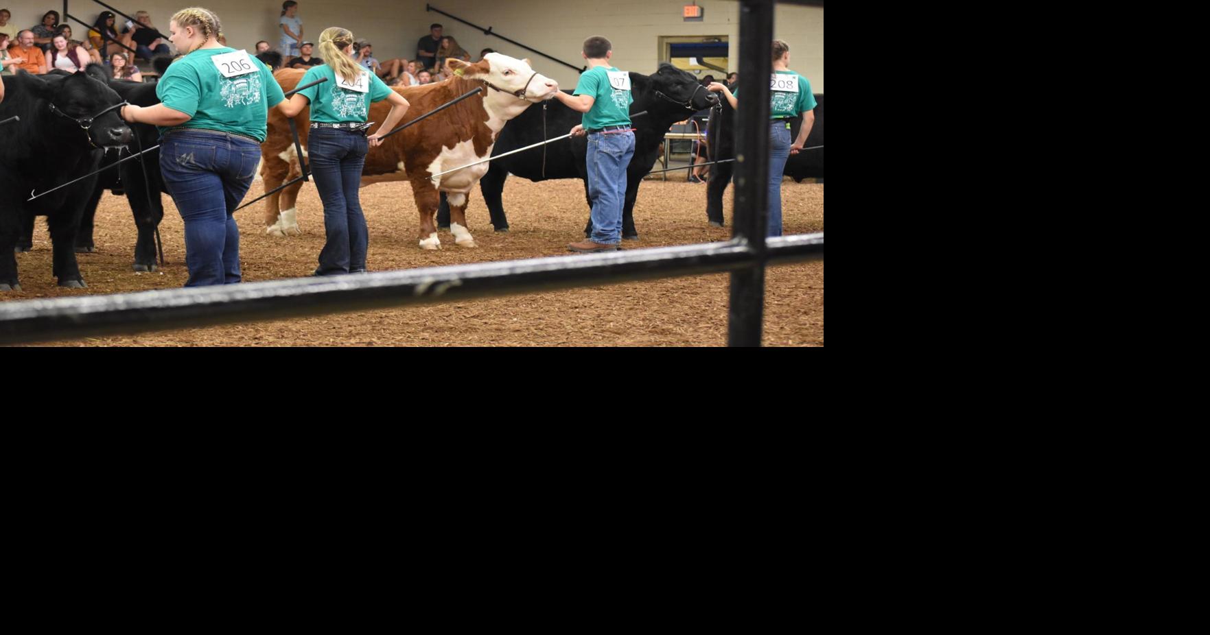Livestock auction Elkhart County
