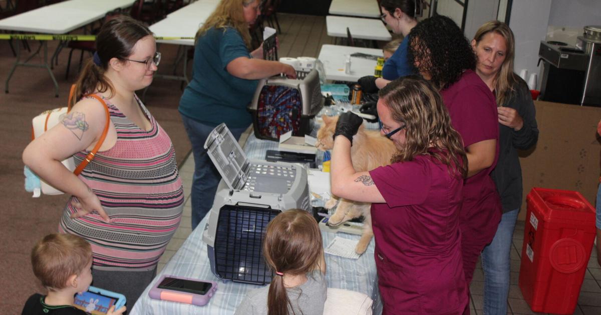 Hundreds of pets get vaccinations, microchips
