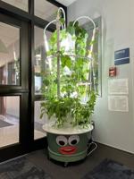 Goshen Health expands indoor garden program