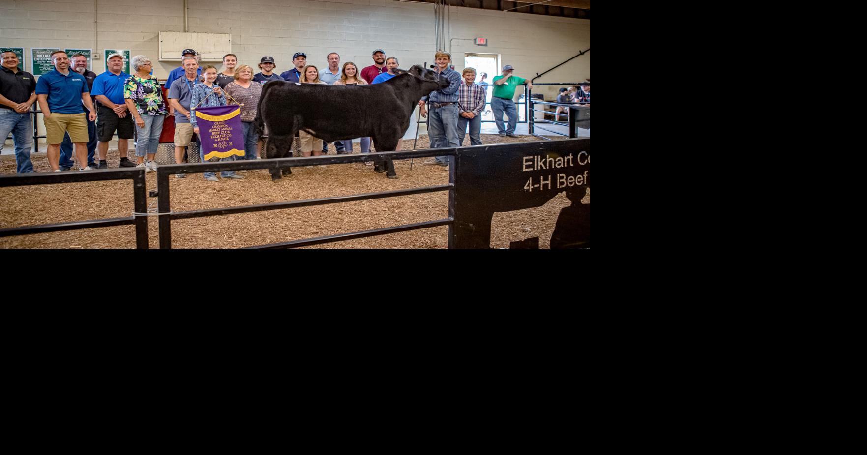 Results of the 2021 Elkhart County Fair 4H Livestock Auction
