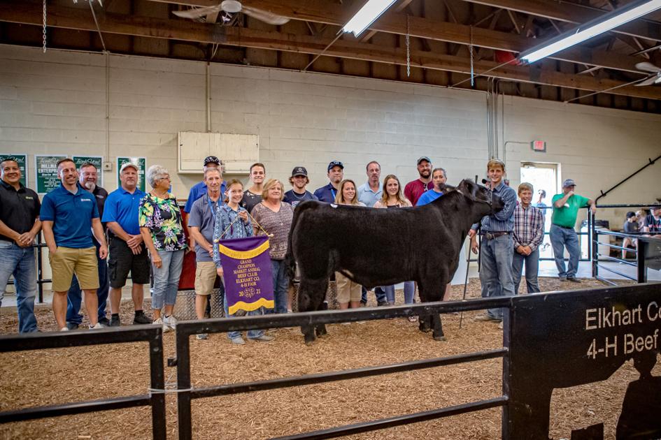 Results of the 2021 Elkhart County Fair 4H Livestock Auction