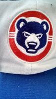 South Bend Cubs' look comes with attitude