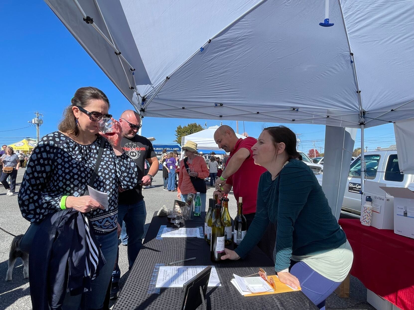 Grape Festival celebrates Yadkin Valley wines