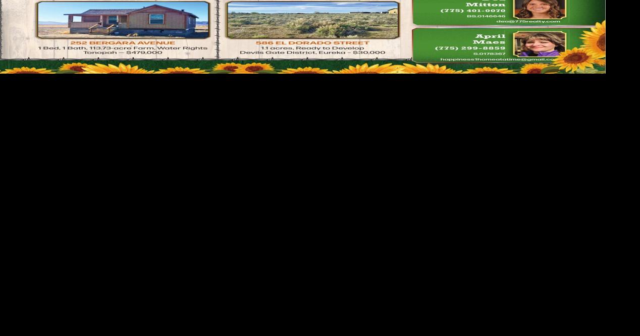 ALLIE BEAR REAL ESTATE Ad from 20240907