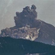 Asset-image