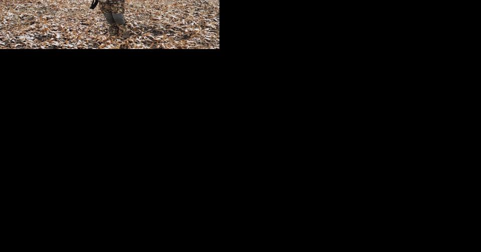 Outside Guide: Achieving harmony with landowners, ranchers and nature for Nevada game hunters - Vimarsana News