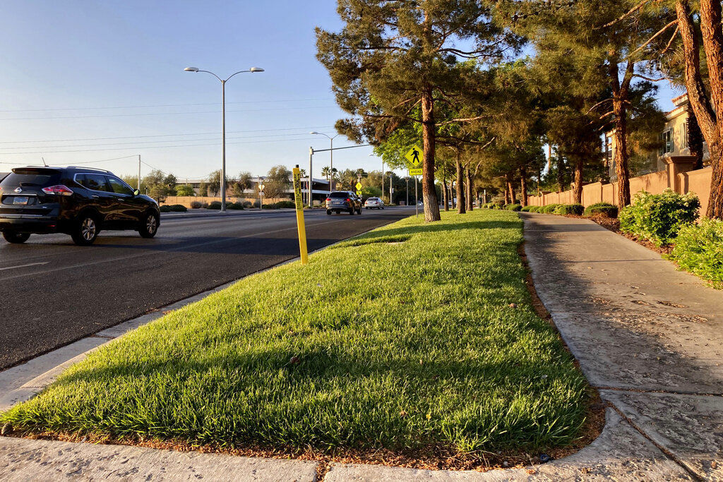 Nevada Legislature Grass Ban