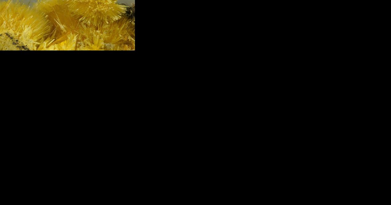 Professor Hanington's Speaking of Science: The rare-earth mineral gadolinium - Vimarsana News