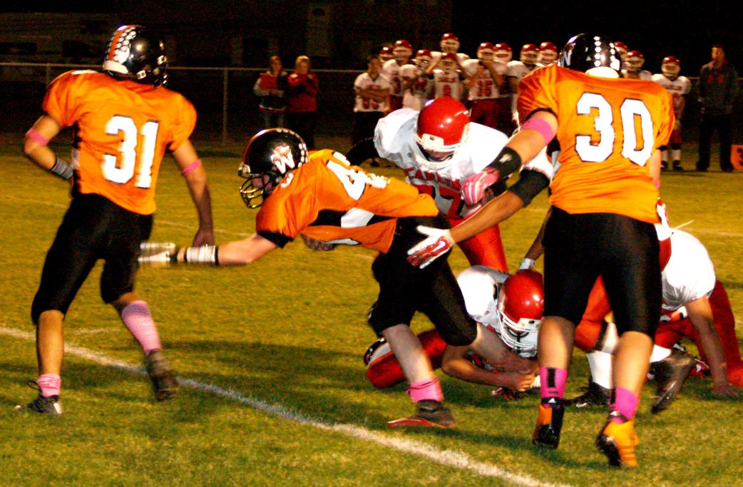 Carlin withstands furious Wells rally