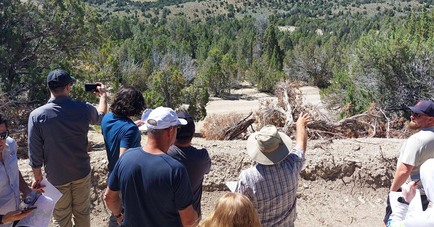 Surge finds very high grade lithium deposit in Elko County - Vimarsana News