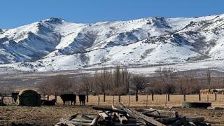 Brough Ranch