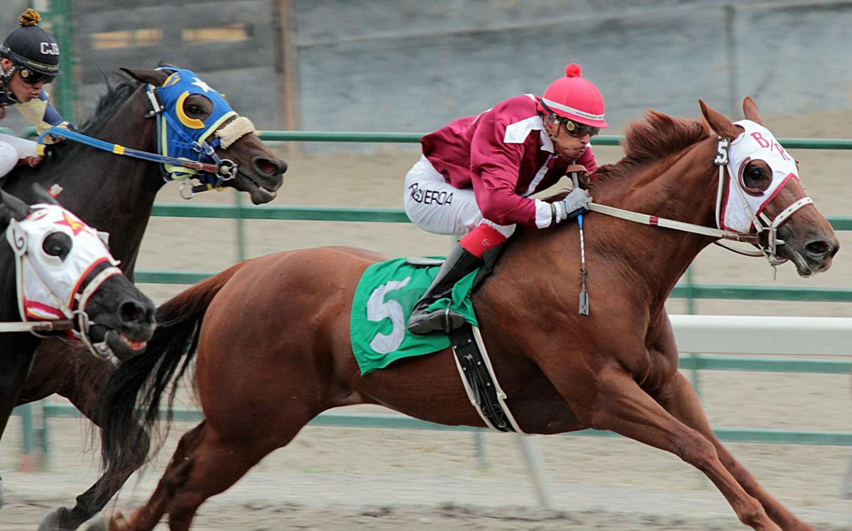 Elko County Fair race results for Sunday