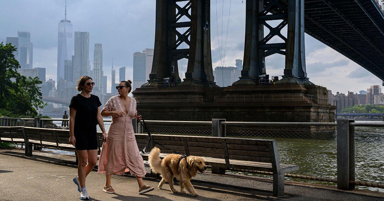 Are pets the weak link in bird flu surveillance? - Vimarsana News
