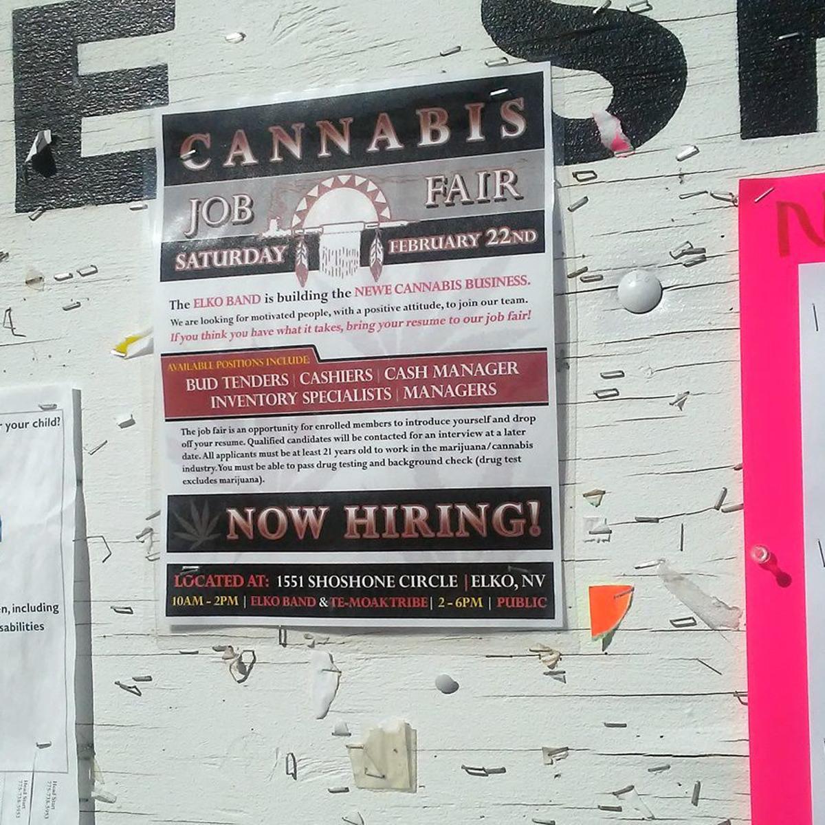 City Awaits Info On Elko Indian Colony Pot Shop Local