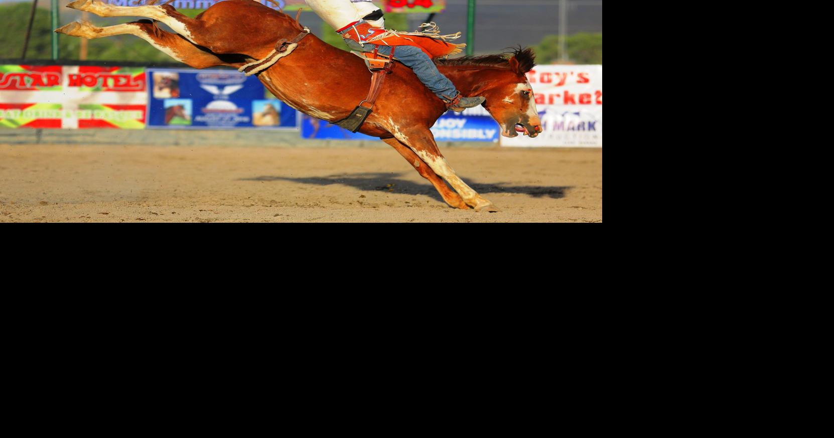 Key players place Stampede on world stage