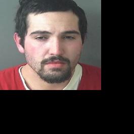 Elko man sentenced to prison for stealing gun from car