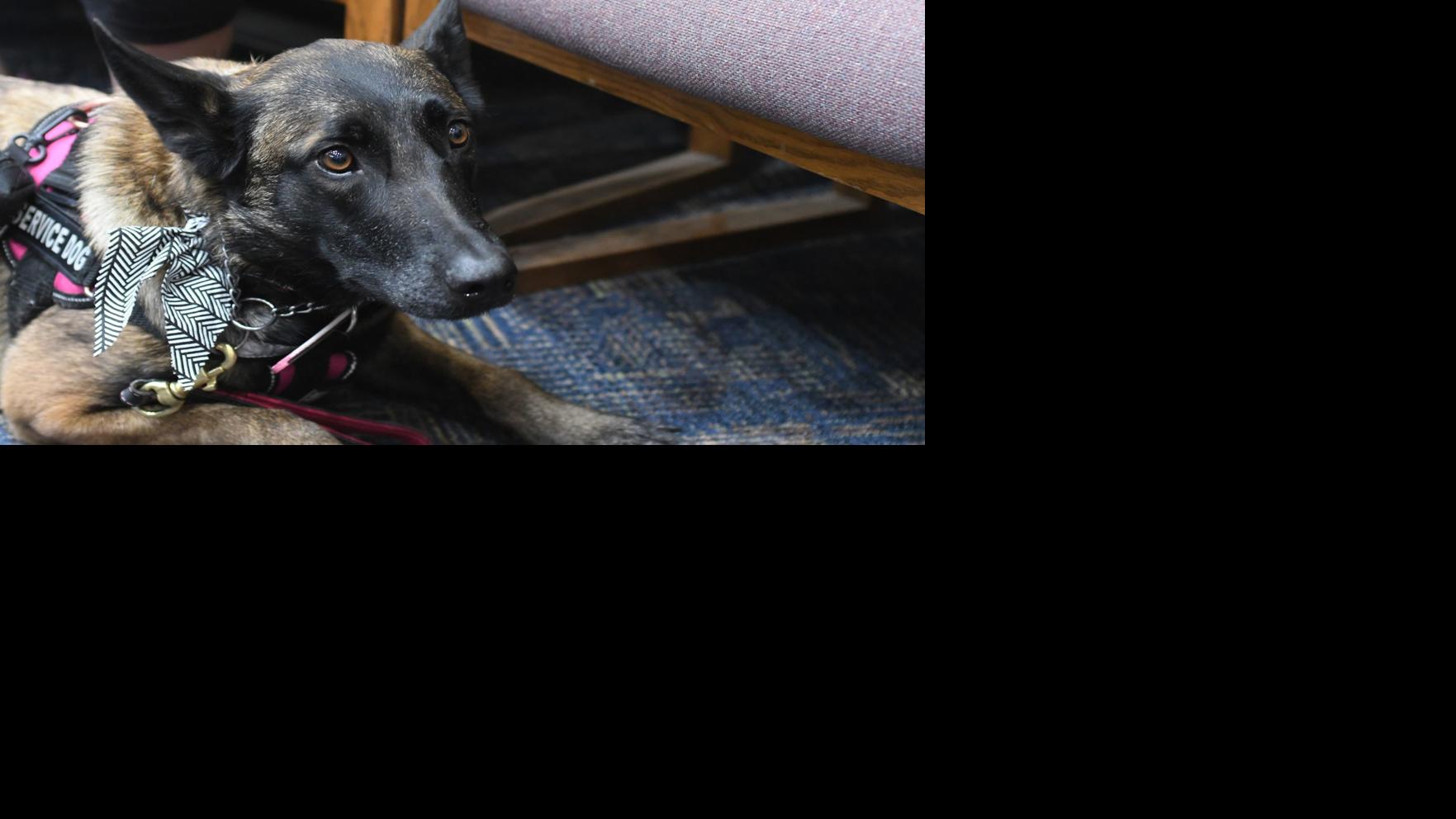 City Council approves dog park Local