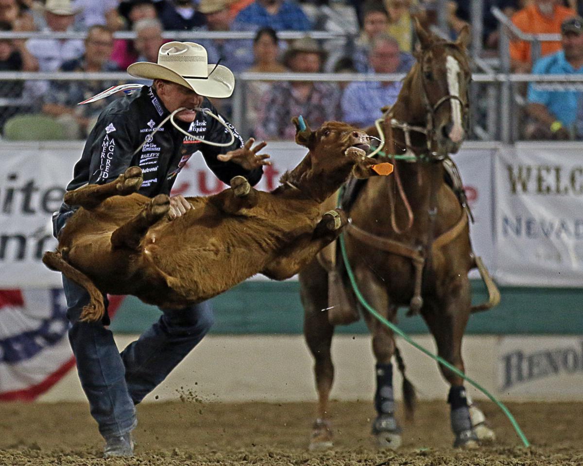 Close Calls For Nevada Cowboys In Reno Rodeo Local Sports Elkodaily Com