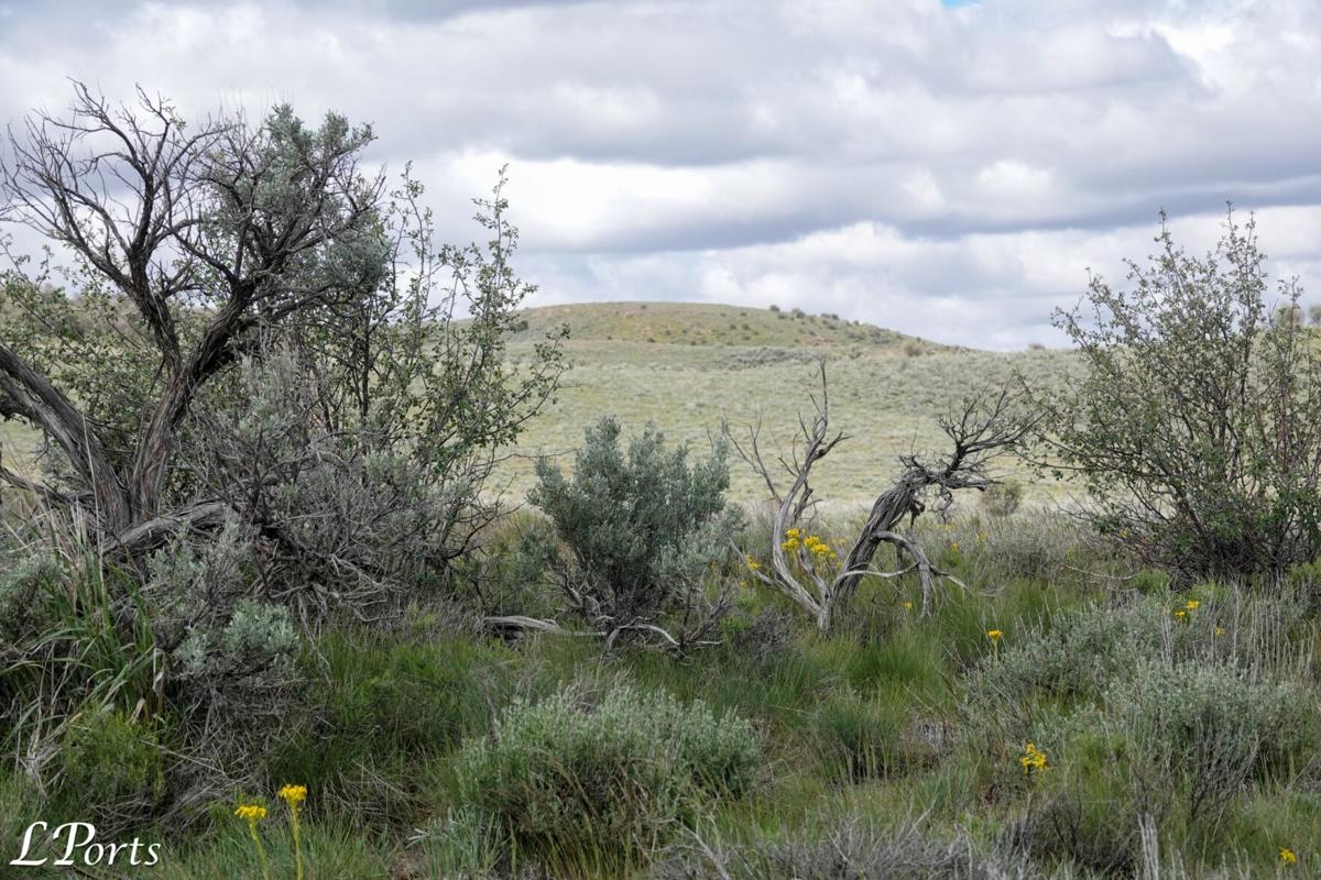 The Sagebrush Ecosystem meeting is Tuesday