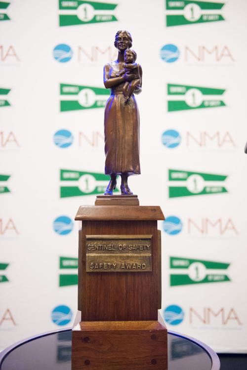 Sentinels of Safety award